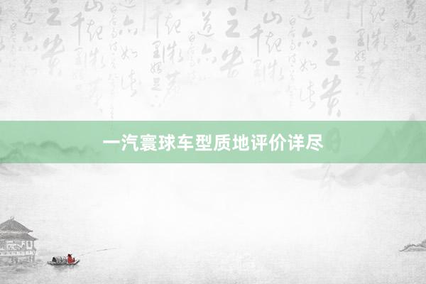 一汽寰球车型质地评价详尽