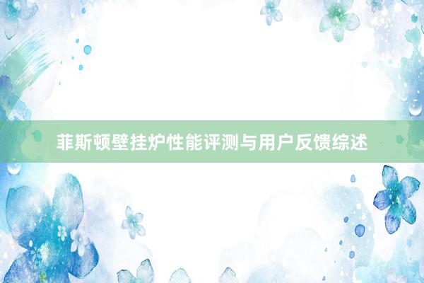 菲斯顿壁挂炉性能评测与用户反馈综述