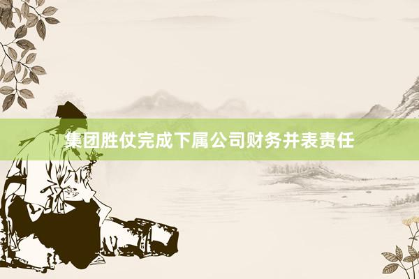 集团胜仗完成下属公司财务并表责任